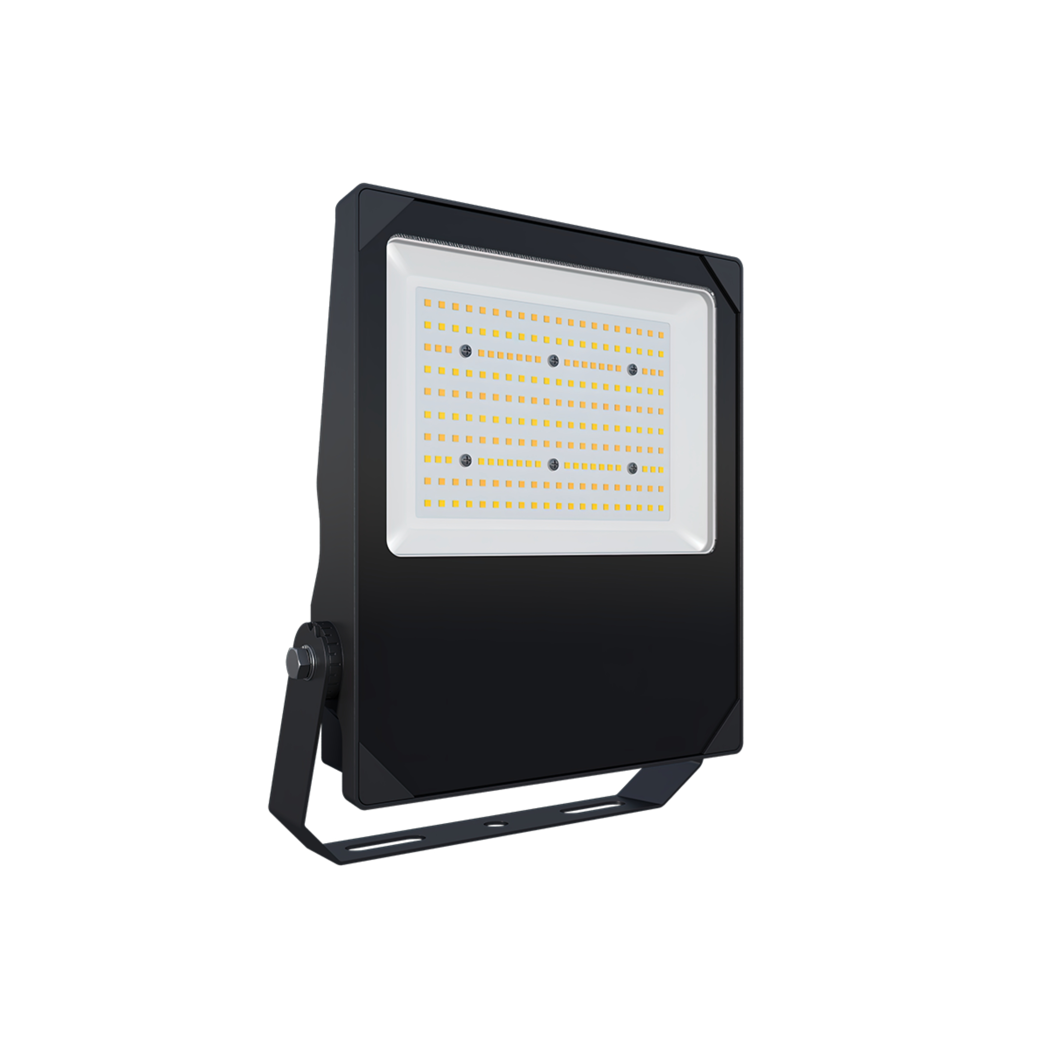 Adeline 100W Black 3CCT LED Floodlight with Plug