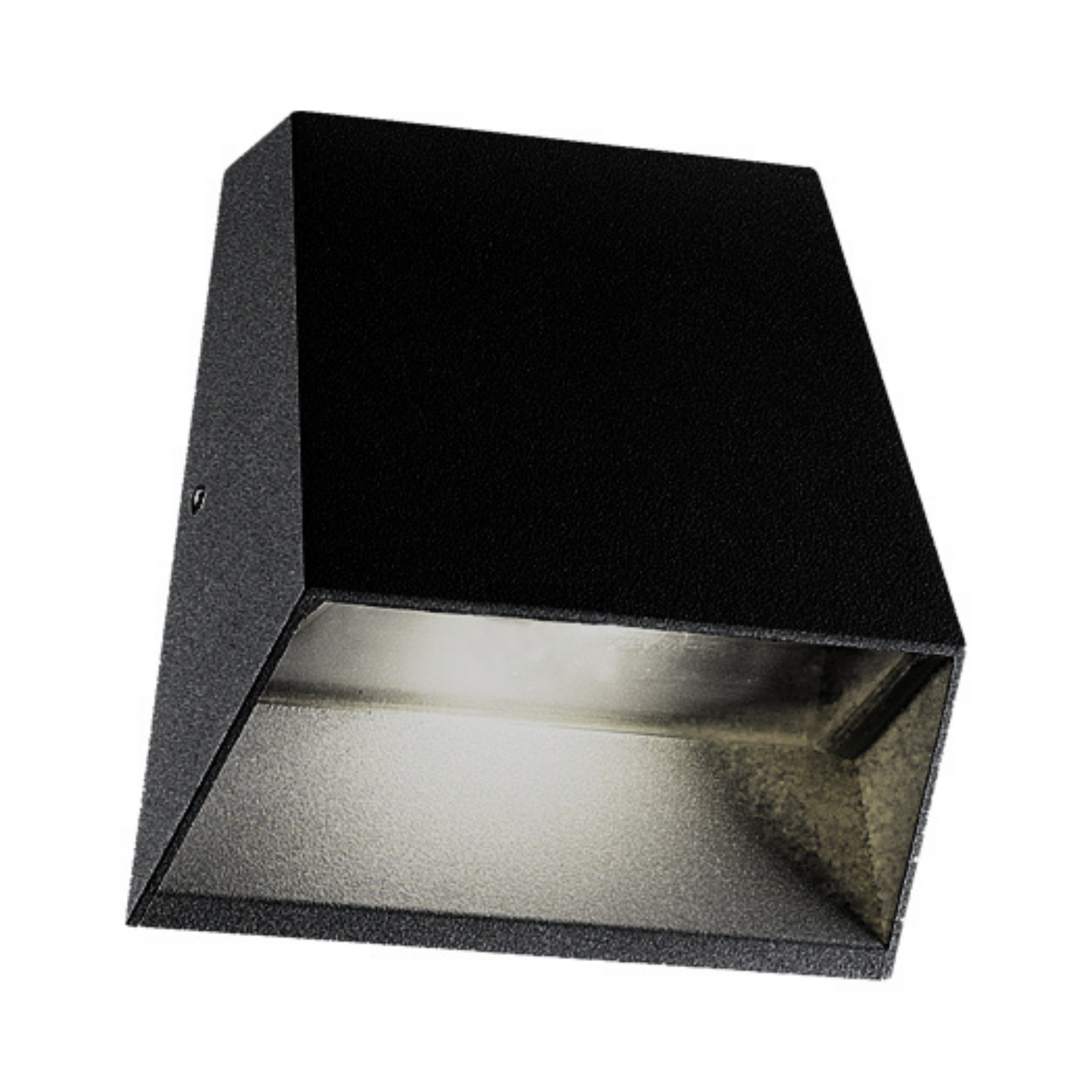 Emily Black LED Exterior Wall Light