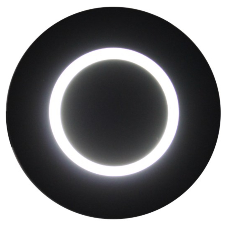 Astro Black Wall Light