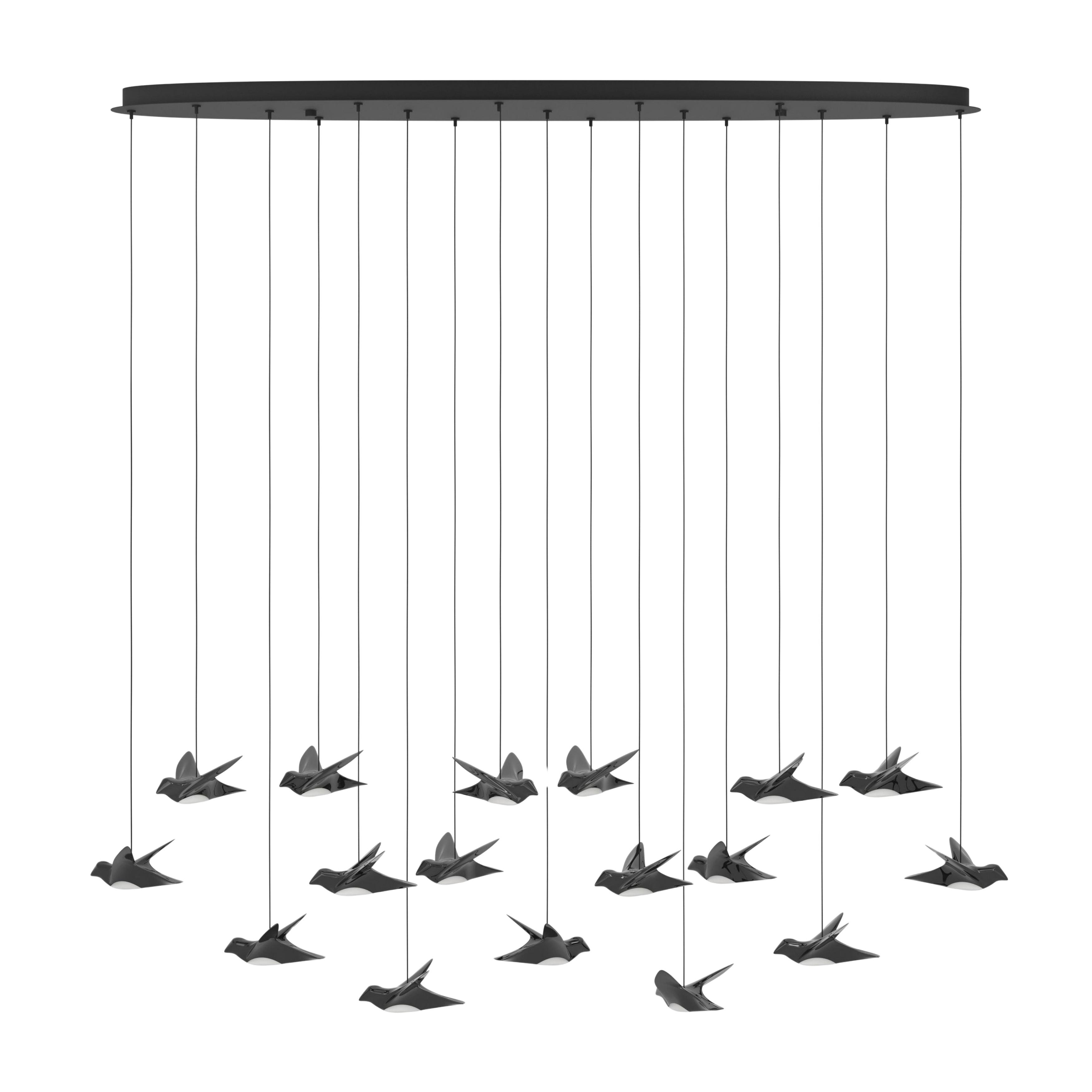 Paratebueno 17 Light Black Aviary Oval Cluster Chandelier