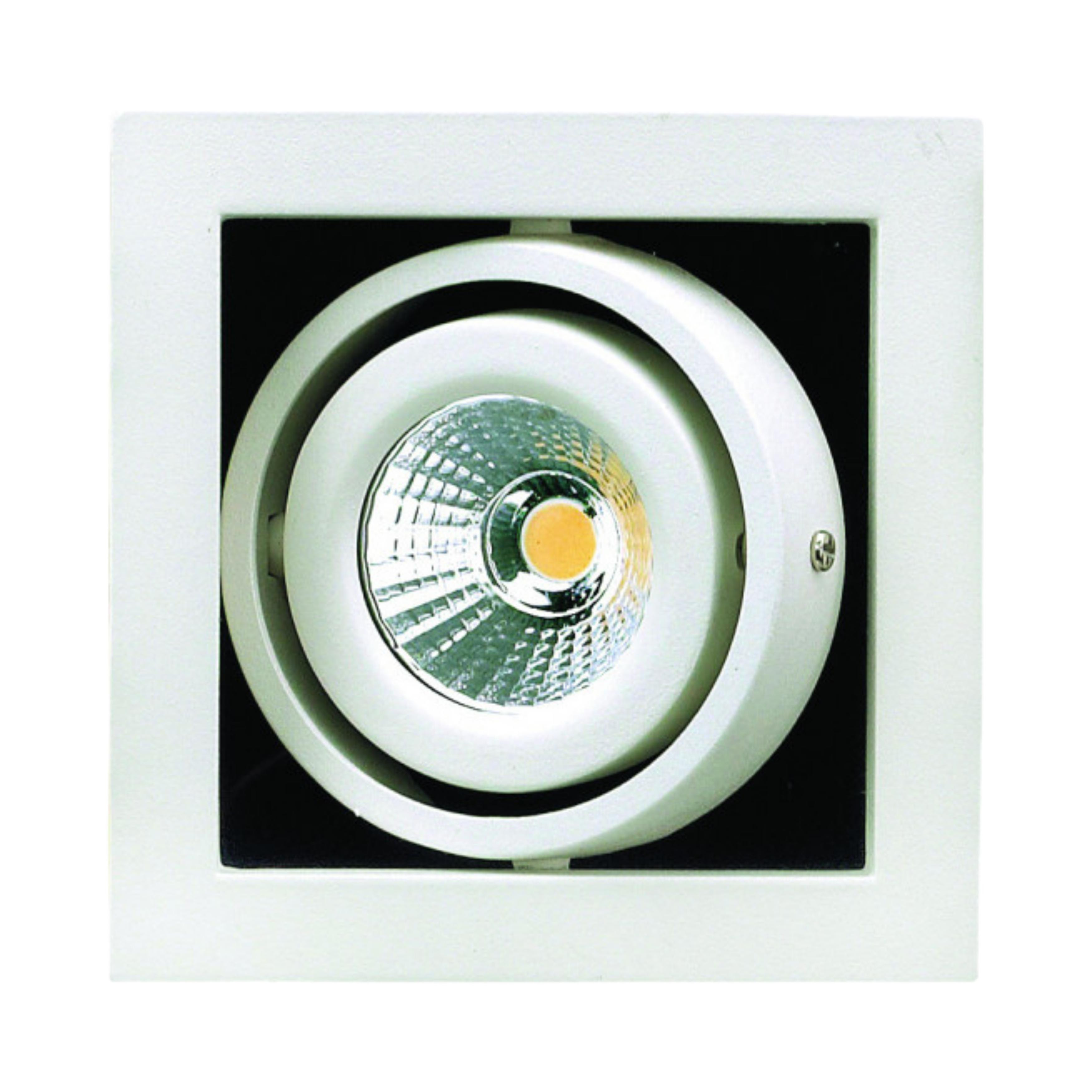 Forling Dimmable Single Frame Recessed LED Downlight - White
