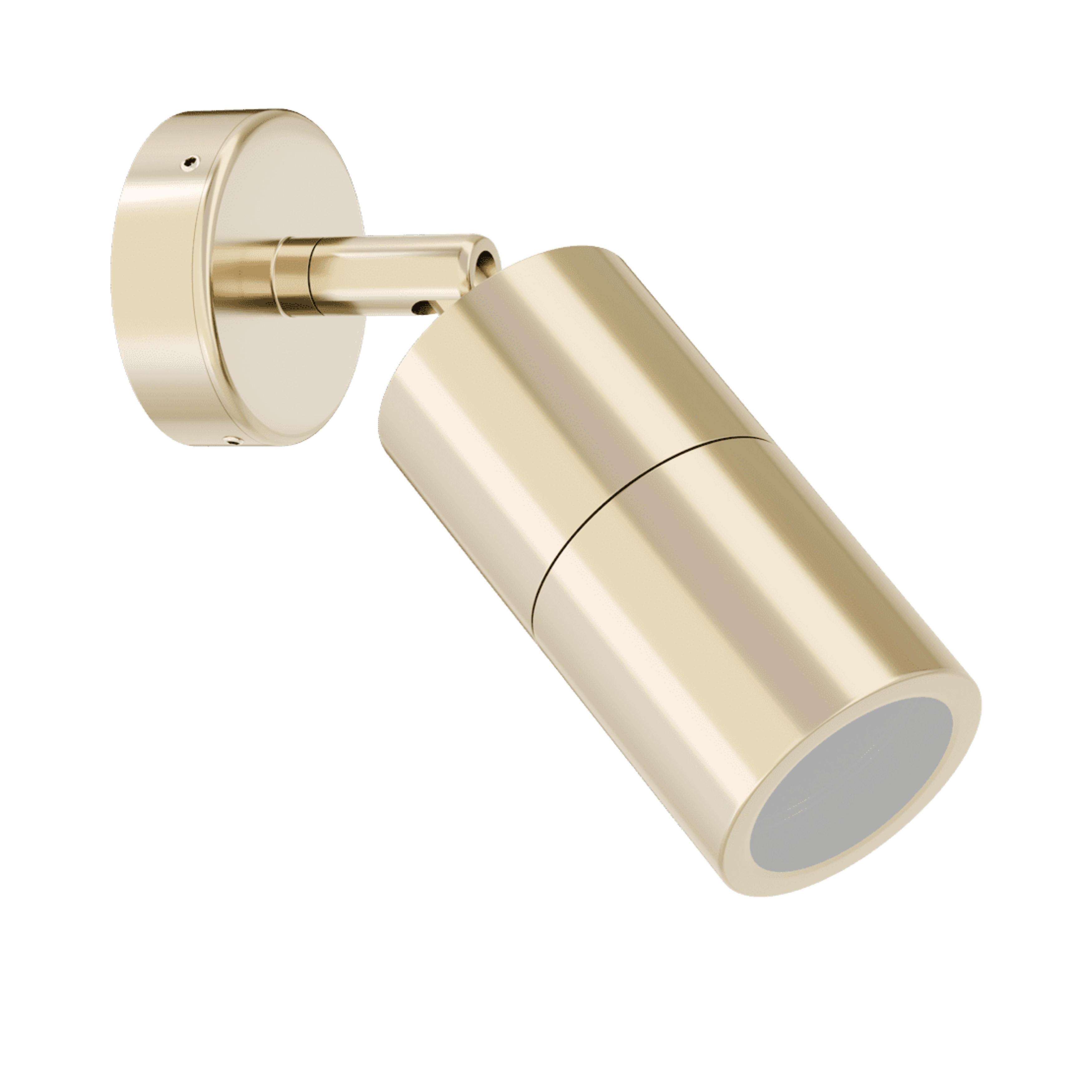 Shadow Brass Adjustable Exterior Wall Light