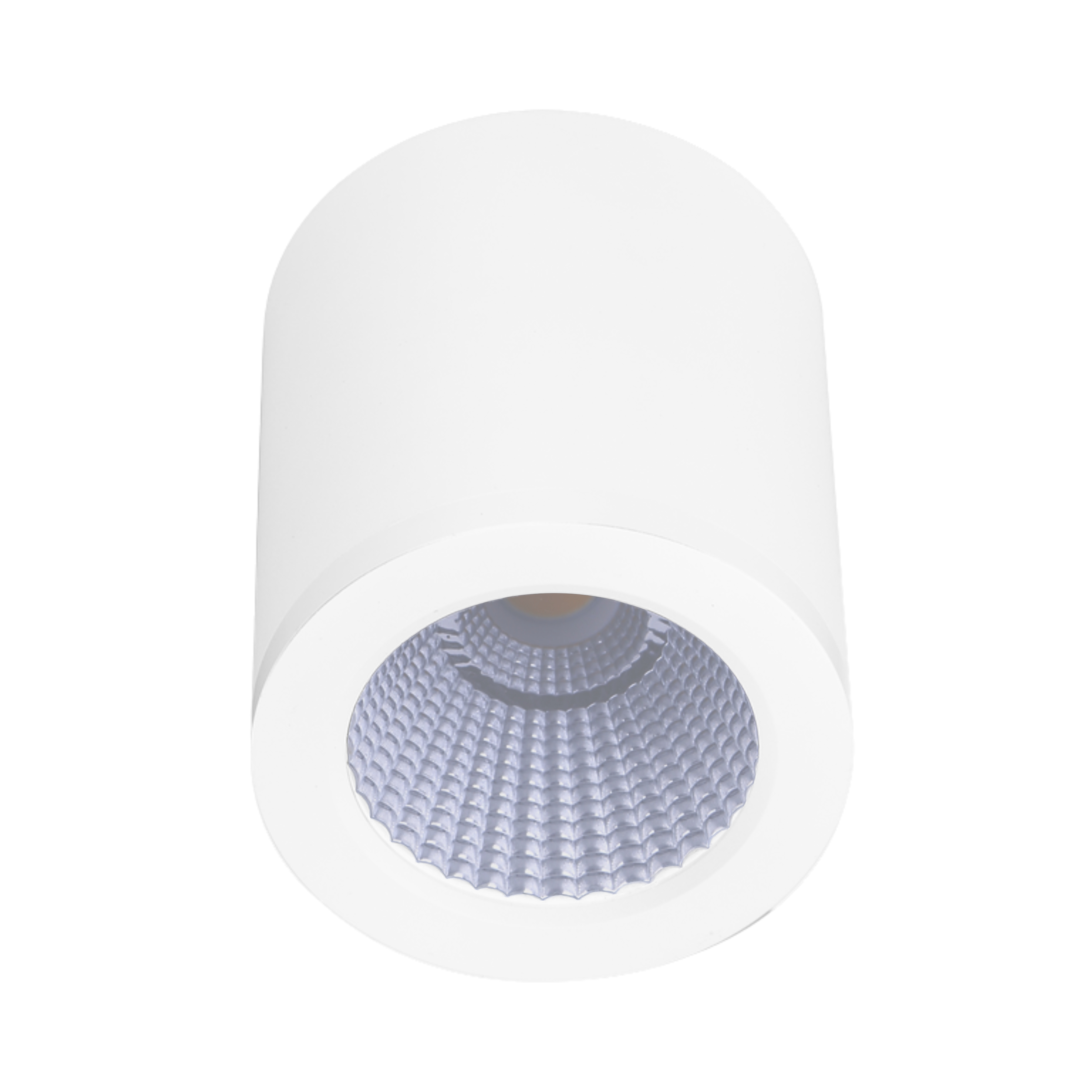 Propus IP54 3CCT LED Surface Mounted Downlight - White
