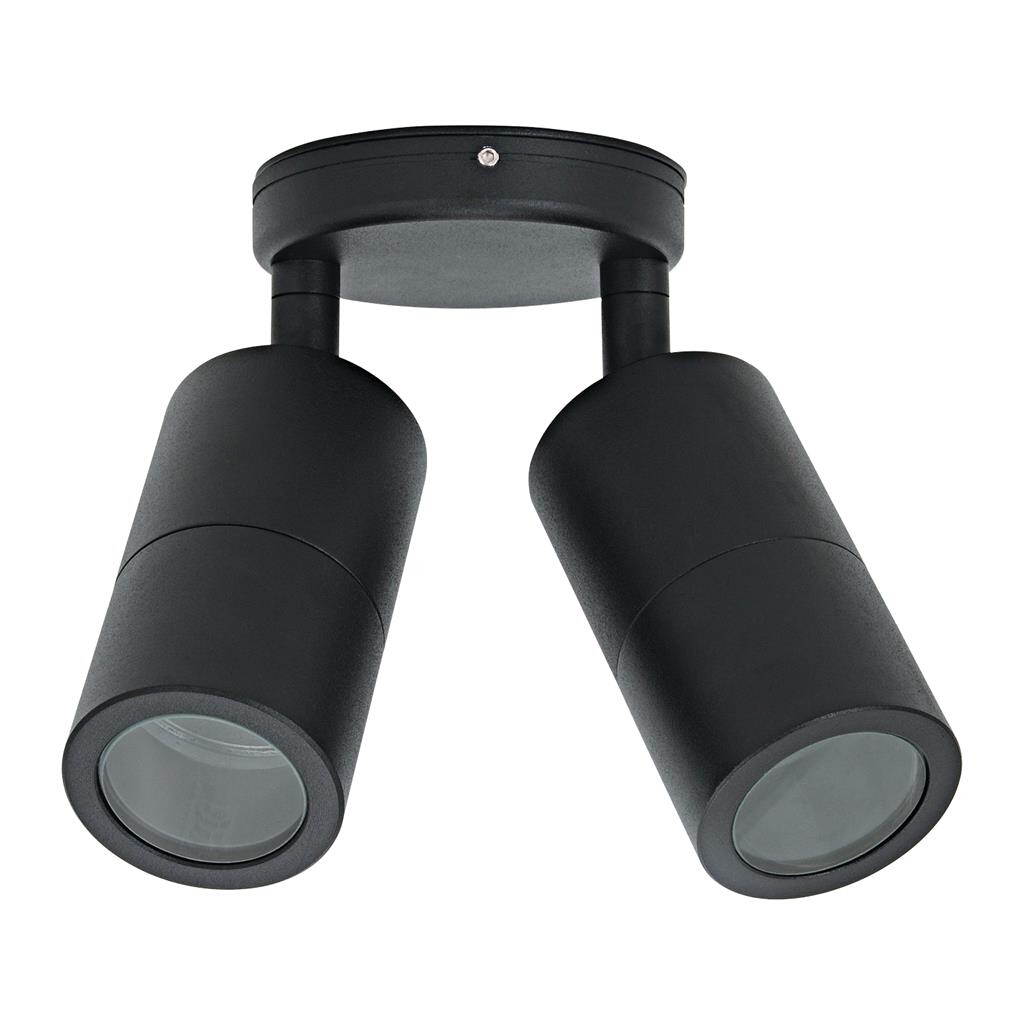 Shadow Black Adjustable Exterior Twin Wall Light