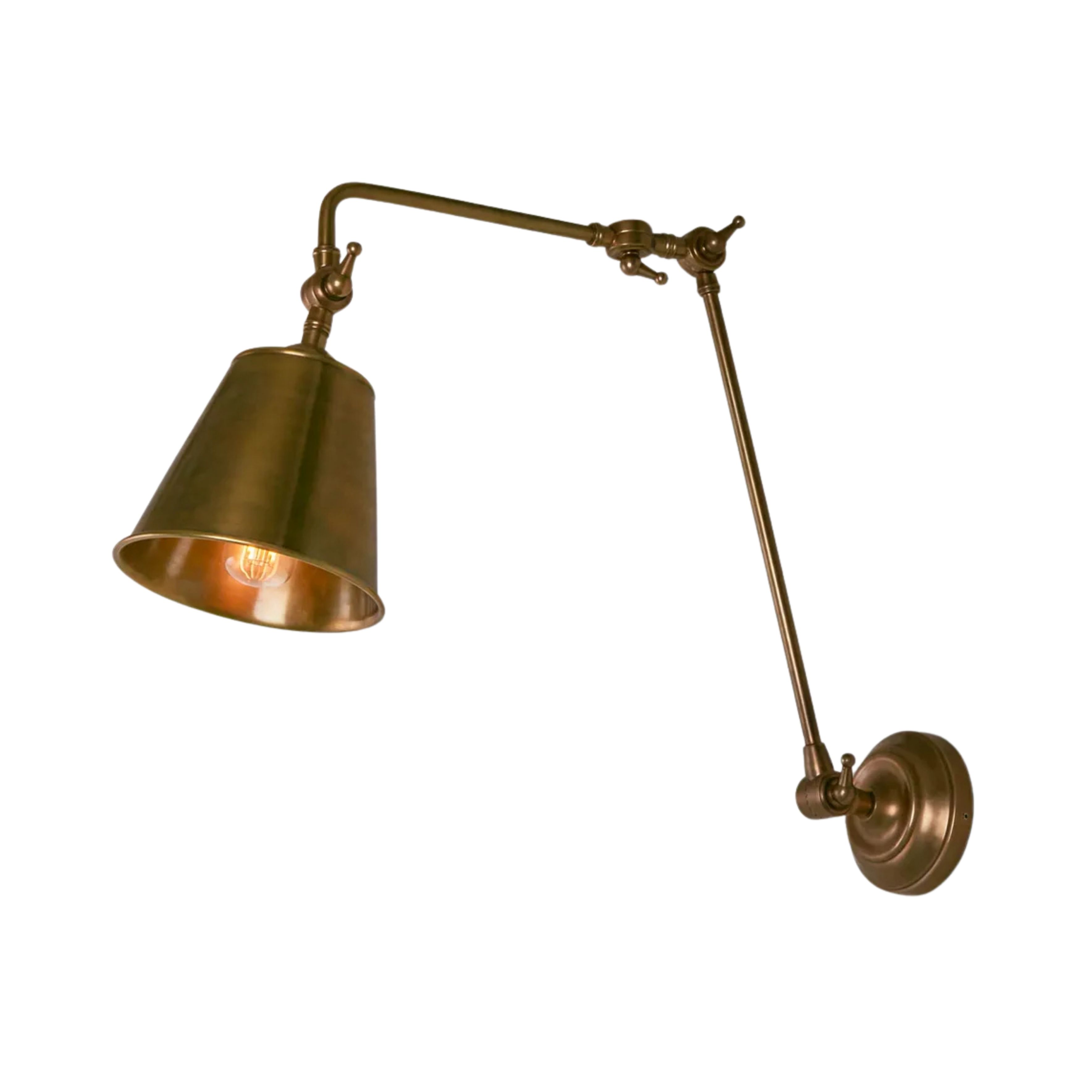 Crown Adjustable Antique Brass Indoor/Outdoor Wall Lamp