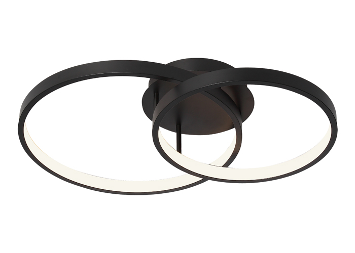 Zaida 2 Light Black Ring Ceiling Light