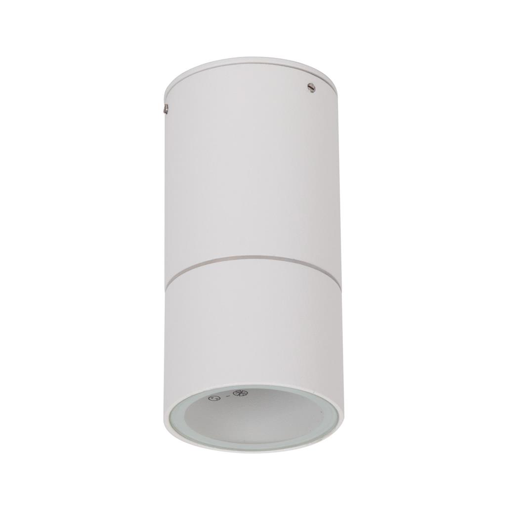 Elite Surface Mounted Interior/Exterior LED Downlight - White