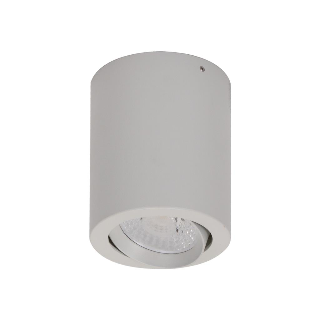 Neo 10W Surface Mounted Tiltable Downlight - White