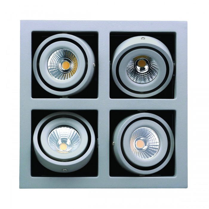 4 Frame Gimbal LED Recessed Downlight - Silver