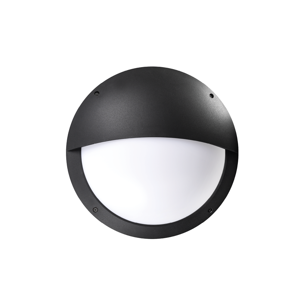 Lily Black 12W LED Eye Exterior Wall Light