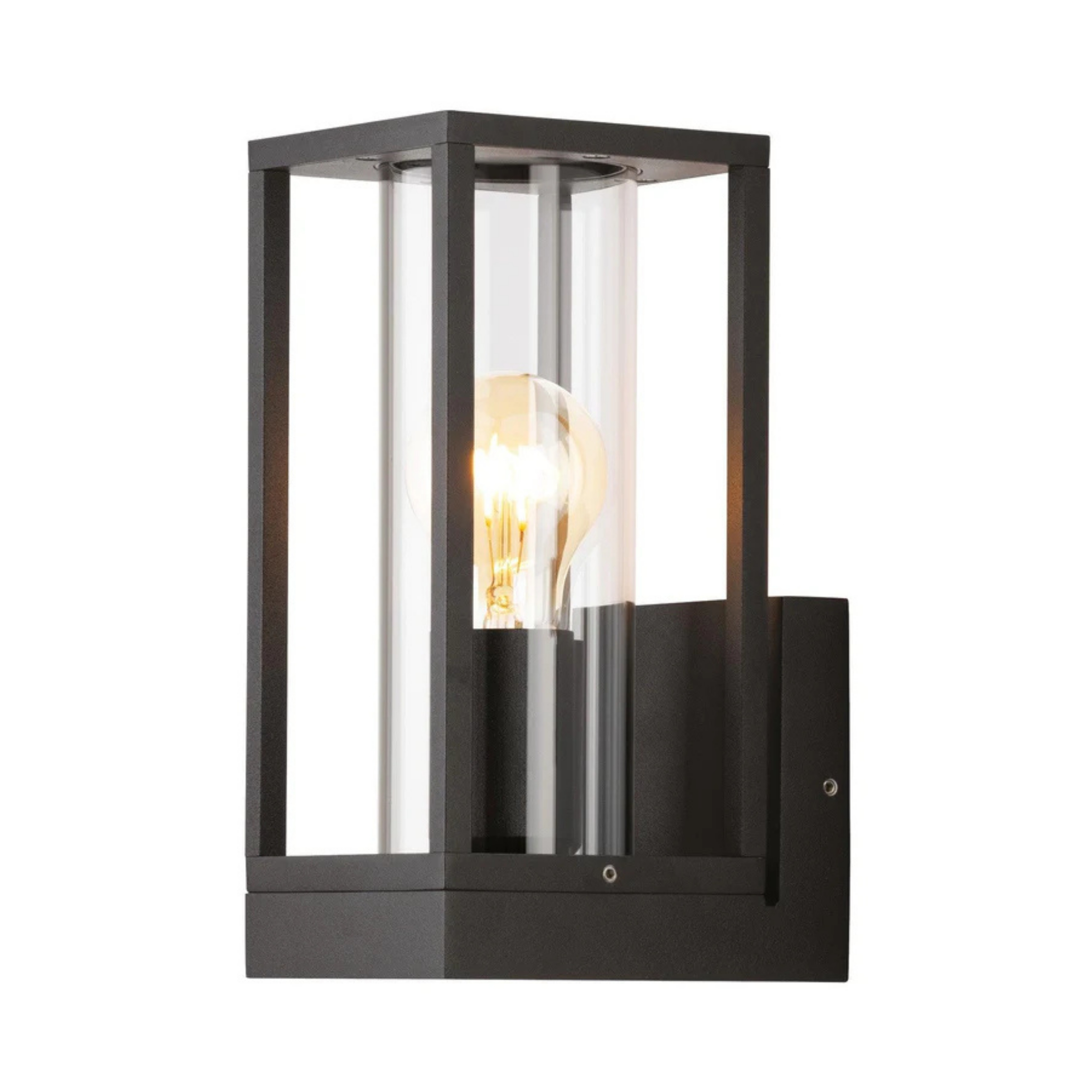 Lakeland Black with Clear Glass Outdoor Wall Light