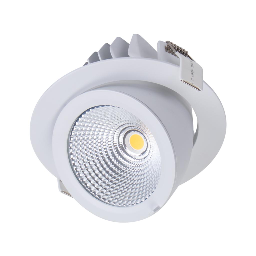 Scoop 25W White Round Adjustable Dali CCT LED Downlight