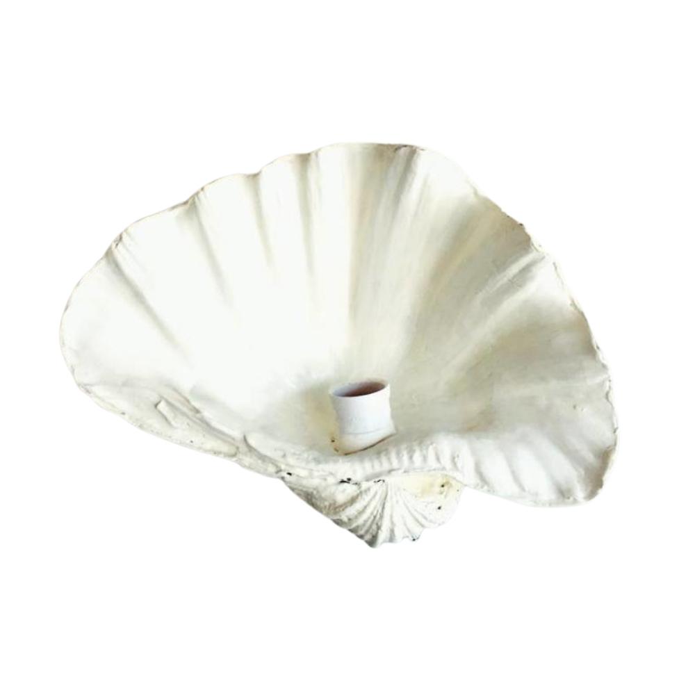Beach Shells Pearl White Openface Wall Sconce