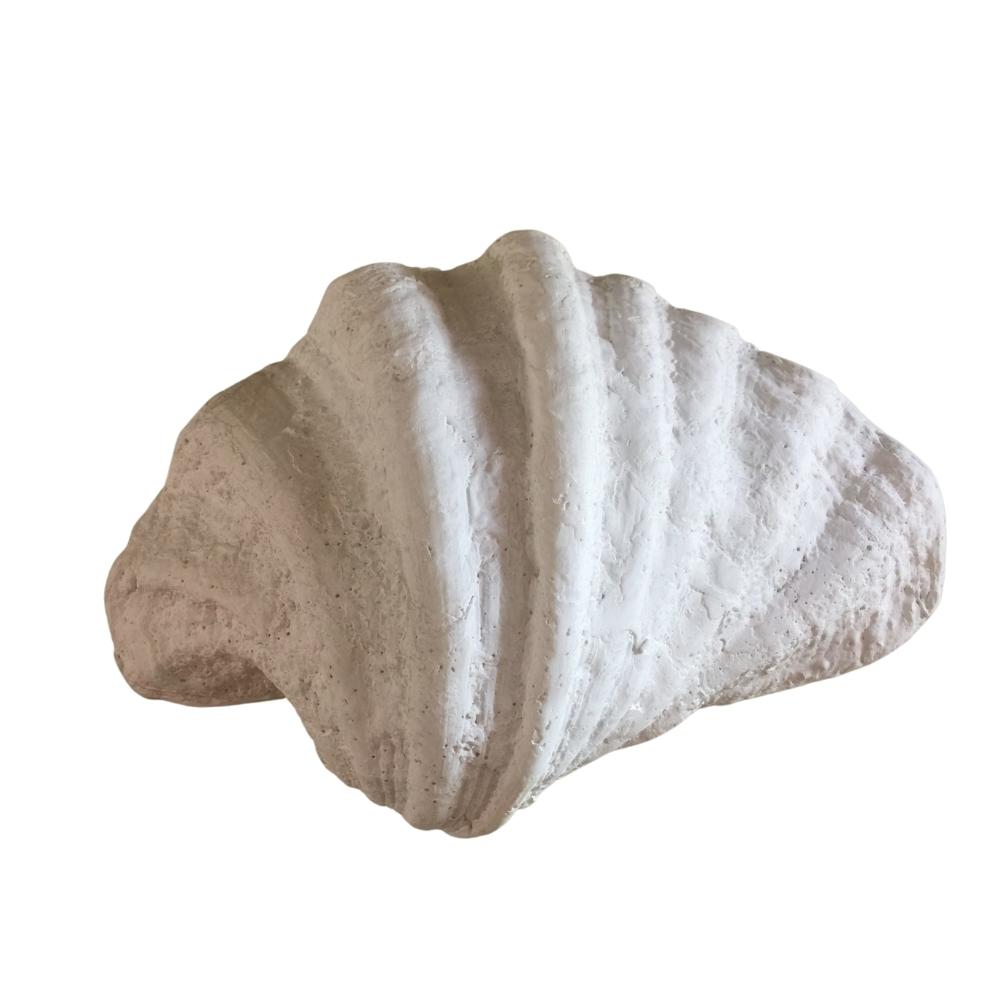 Beach Shells Pearl White Wall Sconce