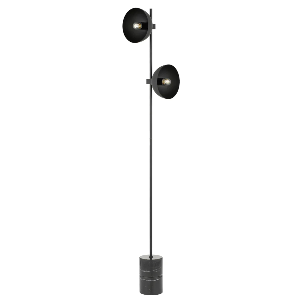 Efrain Black Dome Twin Head Floor Lamp