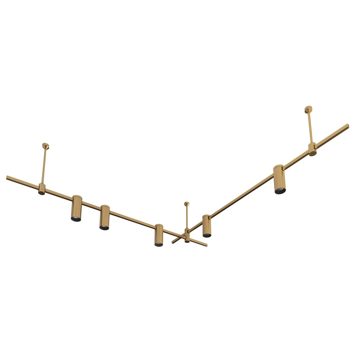 Linear 2 Track Modular Lighting System Z008
