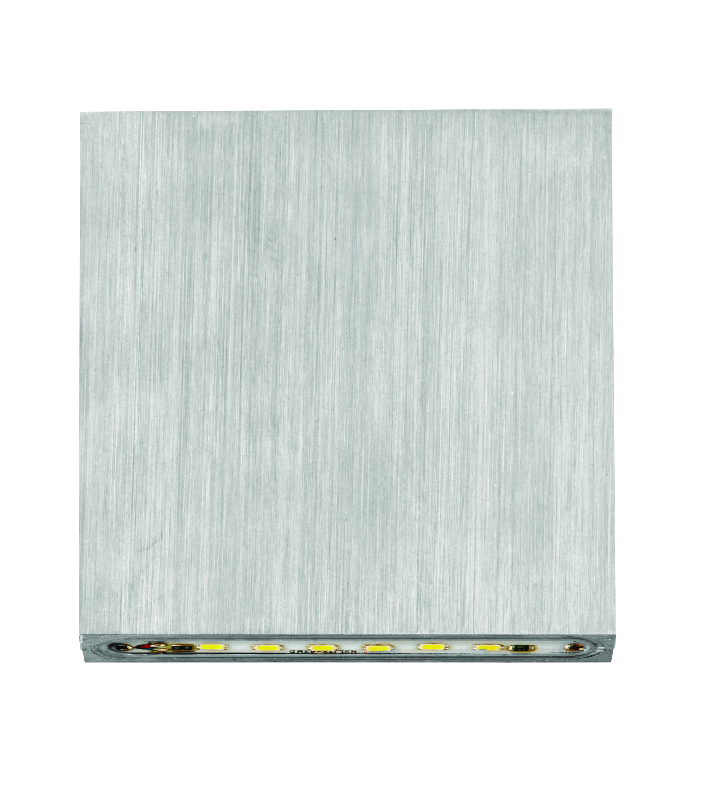 Lorne Stainless Steel Outdoor LED Wall and Step Light