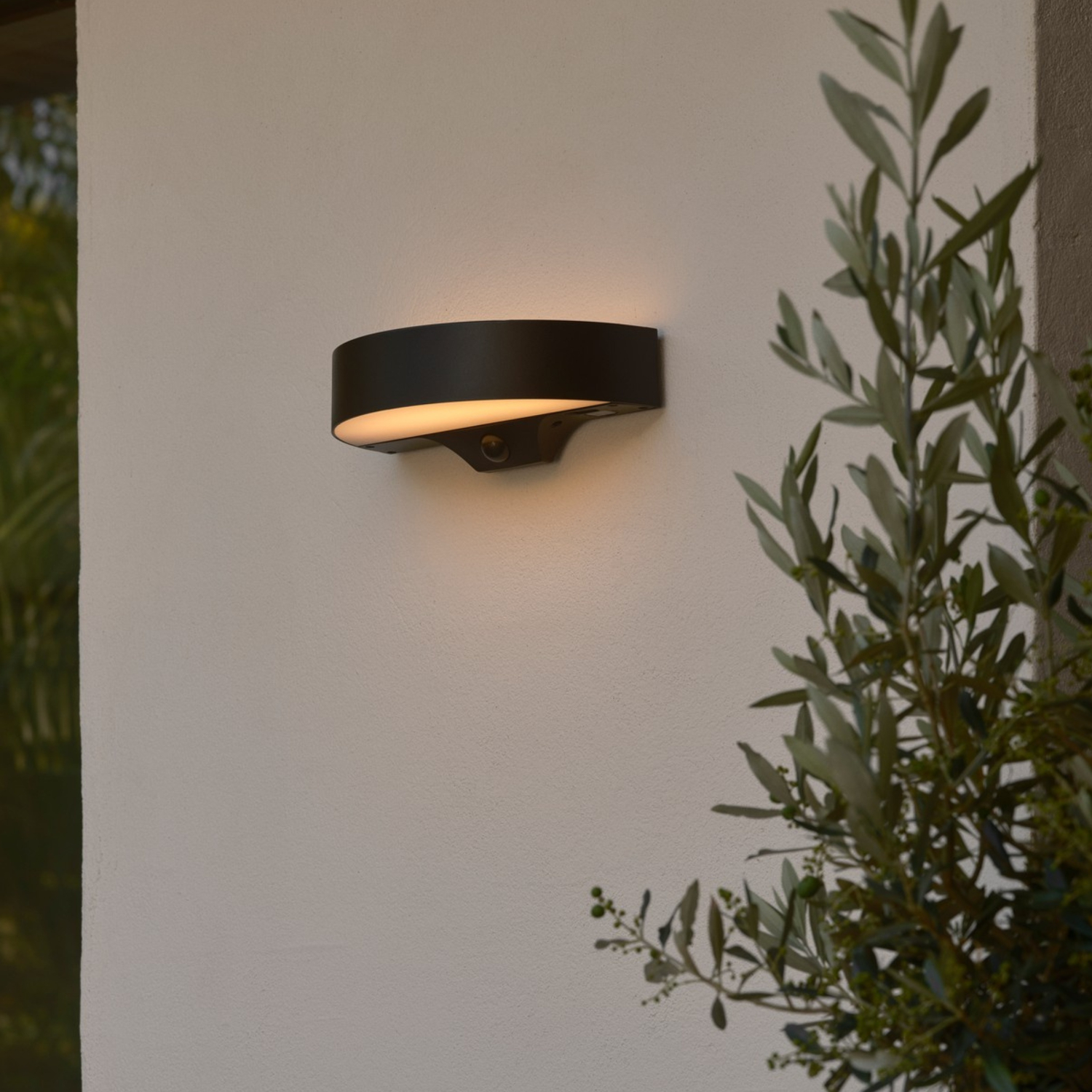 Outdoor Sensor Lights