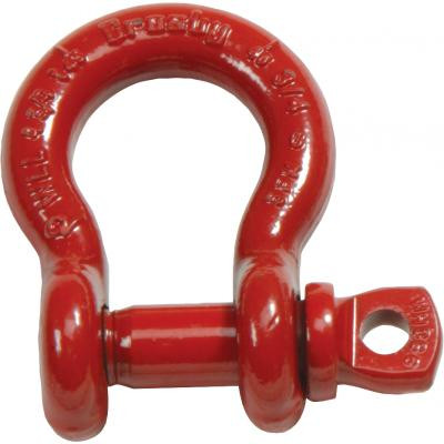 1/2" Shackle