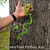 Green Tree Python - Aru (Hgh White)