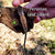 Amazonian Leaf Lizard