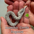 Hognose Snake