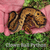 Flash Sale Clown Ball Python