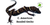 Flash Sale C. American Banded Gecko - 5 lot
