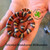 Honduran Milksnake,  Tricolor