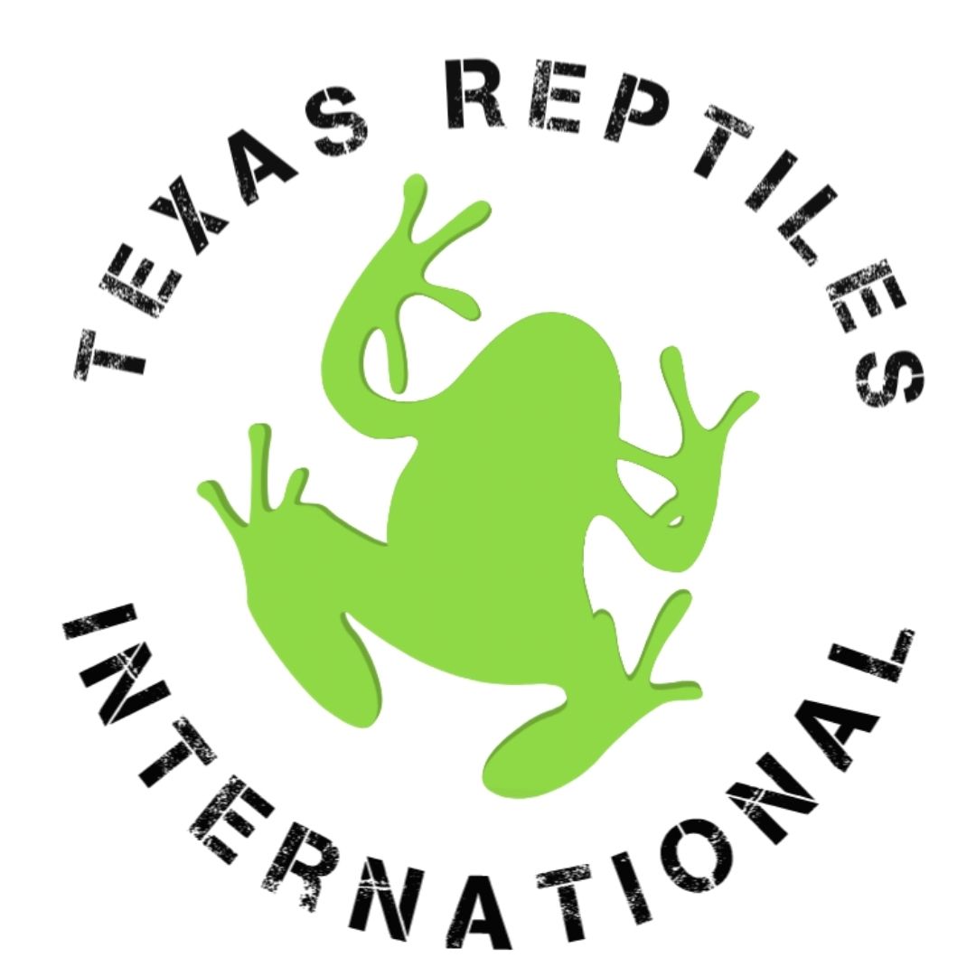 Your first blog post! - Texas Reptiles International