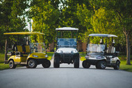 Why Choose an ICON EV Golf Cart?