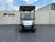 Yamaha Drive 2 Passenger Silver Golf Cart-#4829A