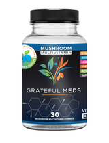 Grateful Meds | Multivitamin Mushroom Gummies | Blueberry | Focus | THC Free | 30 Count
