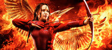 Film review: Hunger Games: Mockingjay - Part 2