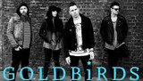 Richer Unsigned: Artist of the Week - Goldbirds