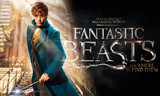 Film review: Fantastic Beasts and Where to Find Them