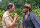 Film review: Gold