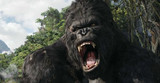 Film review: Kong: Skull Island