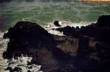 Album review: Fleet Foxes - Crack Up