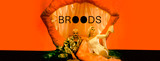 Album review: Broods - Don't Feed The Pop Monster