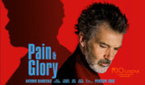 Film review: Pain and Glory