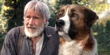 Film review: Call of the Wild