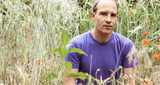 Album review: Caribou - Suddenly