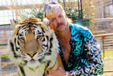 Series review: Tiger King: Murder, Mayhem and Madness