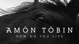 Album review: Amon Tobin - How Do You Live