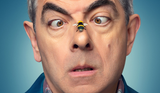 Film review: Man Vs. Bee