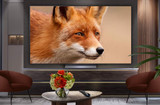 The Best Value-for-Money Smart TVs: An Expert Guide