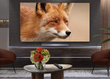Tech advice: New TV Screen Technologies