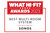 410726_WHF2023