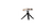423164_4